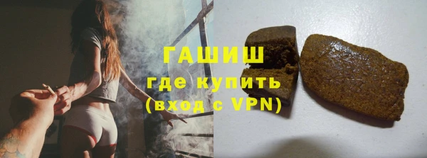 сатива Сатка