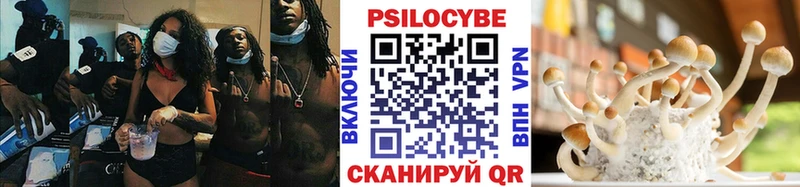 Галлюциногенные грибы Psilocybine cubensis  Первомайск 