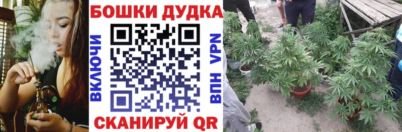 Шишки марихуана марихуана дарнет шоп Первомайск